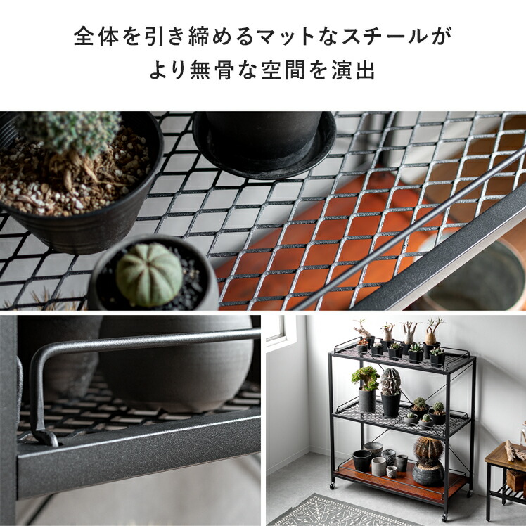 楽天市場】【2/20限定！最大5,000円OFFクーポン配布中】 フラワー