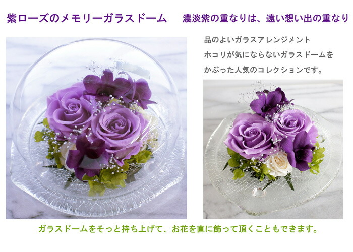 楽天市場】【プリザーブドフラワー】紫の薔薇・パープルメモリードーム