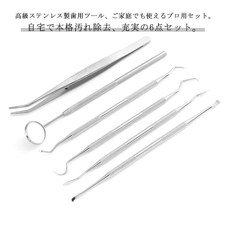 楽天市場】6点セット 歯石取り 歯石とり プロ用 自宅用 歯科ツール