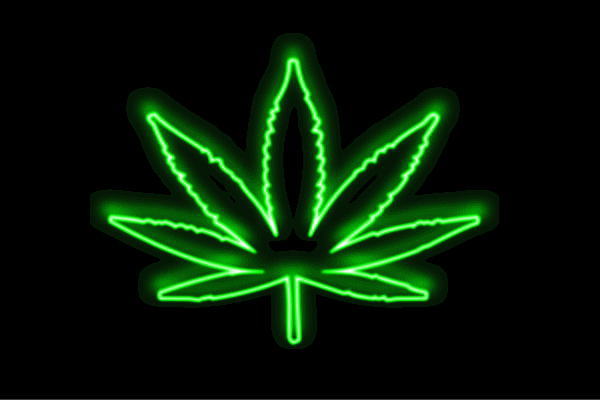 楽天市場】ネオン 大麻2 マリファナ 大麻草 あさ 植物 葉っぱ 葉