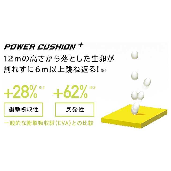 楽天市場】送料無料 バドミントンシューズ メンズ レディース