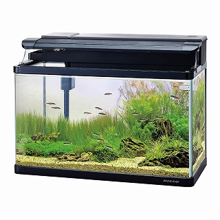 楽天市場】廃盤の為、超激安特価【ニッソー】スティングレー600 LED