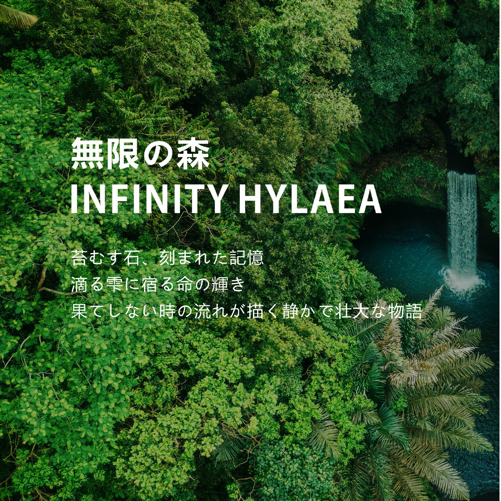 楽天市場】LEDSTAR インフィニティ ハイラエア テラリウム