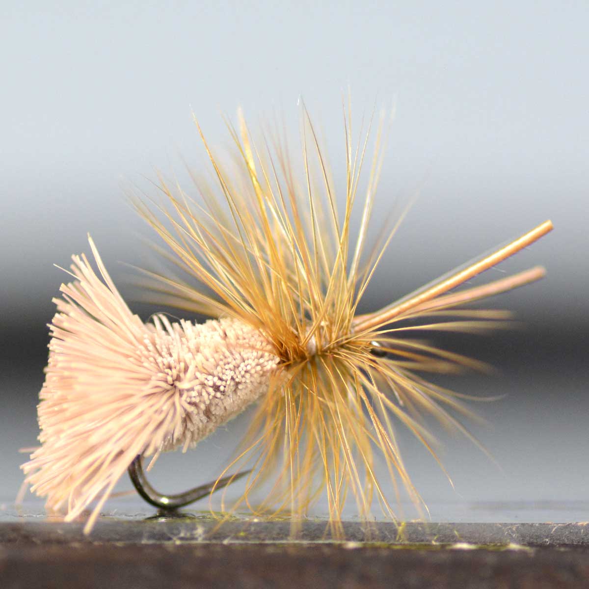 楽天市場】フライ ディアヘアーの通販