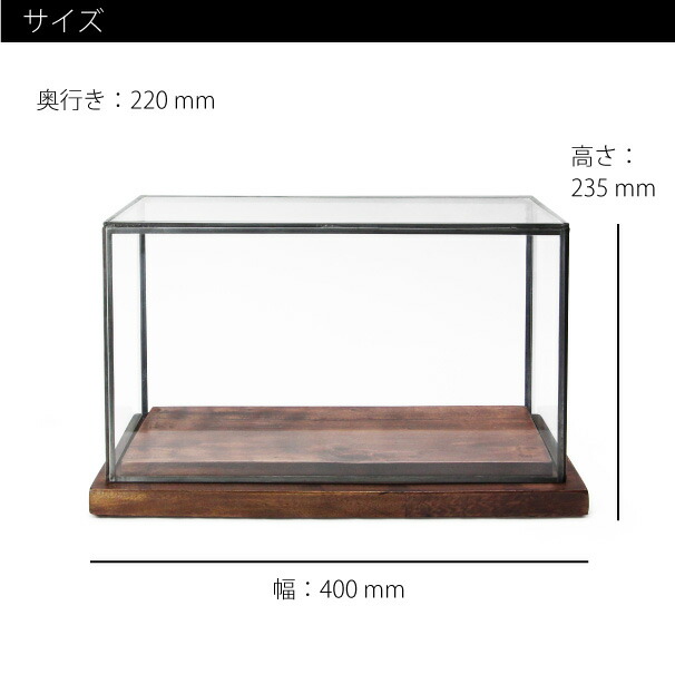 楽天市場】Cabinet With Wood Base “L” ディスプレイケース ショー