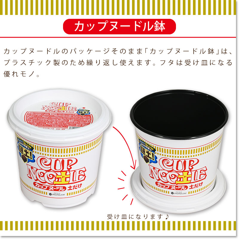 楽天市場】プロトリーフ 日清 カップヌードル 土だけ 1個 2個セット