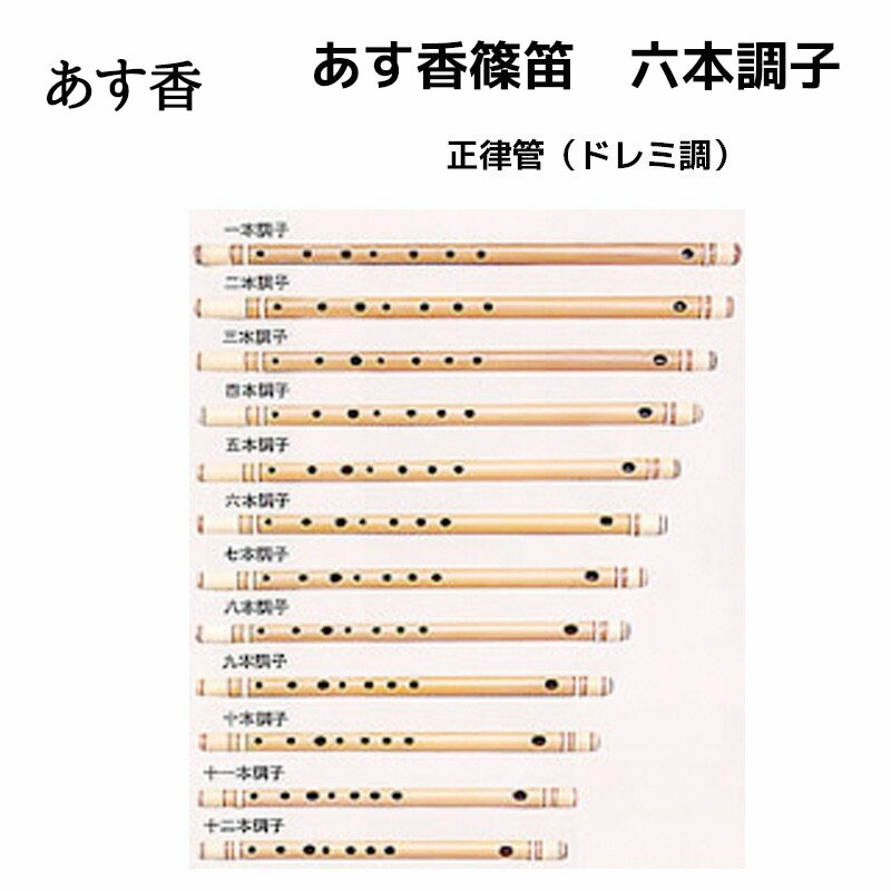 楽器 6本調子 篠笛 ドレミ」の人気商品一覧 | 安い商品を通販サイト