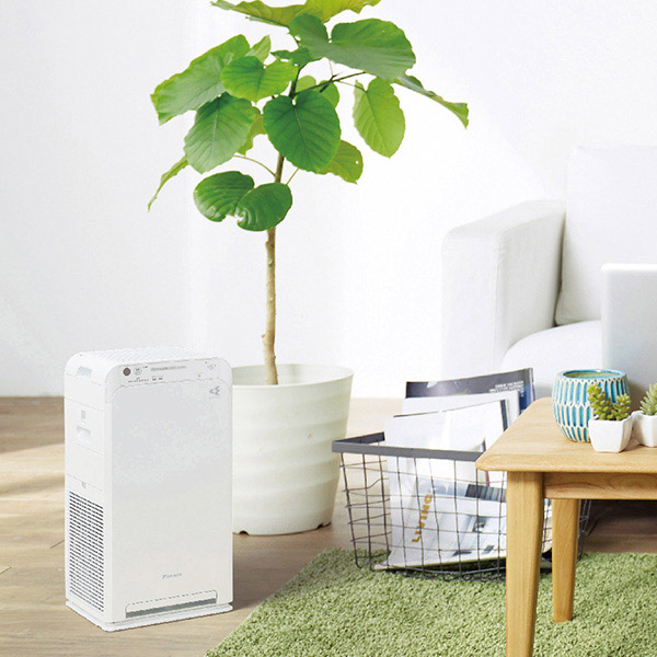 楽天市場】ダイキン【ウイルス対策】空気清浄機(加湿無し)2025年モデル