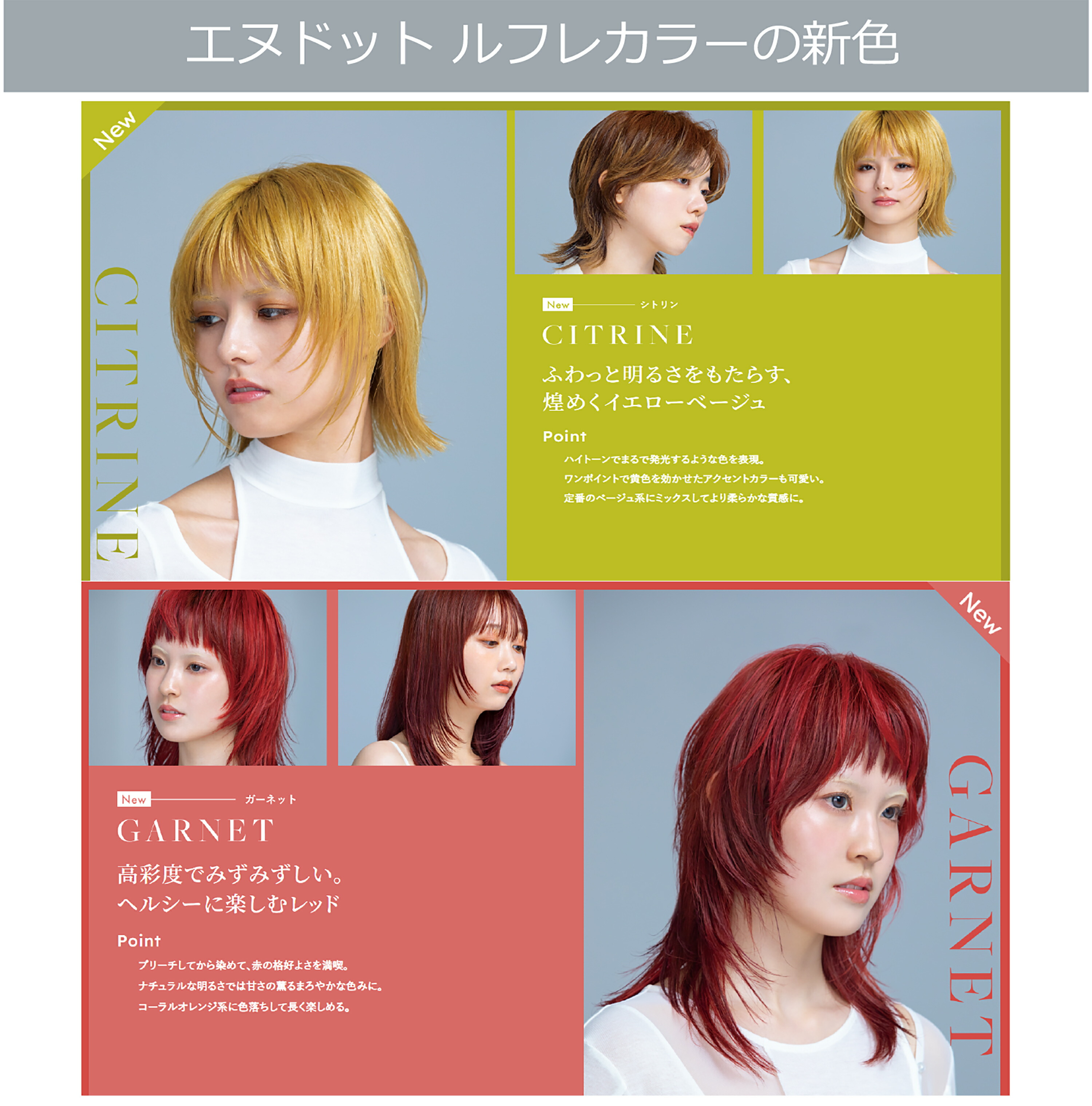 楽天市場】エヌドットカラー ルフレ 80g 4本セット グレージュ