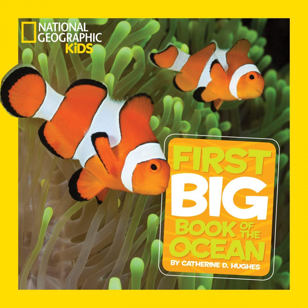 楽天市場】national geographic little kids first big bookの通販