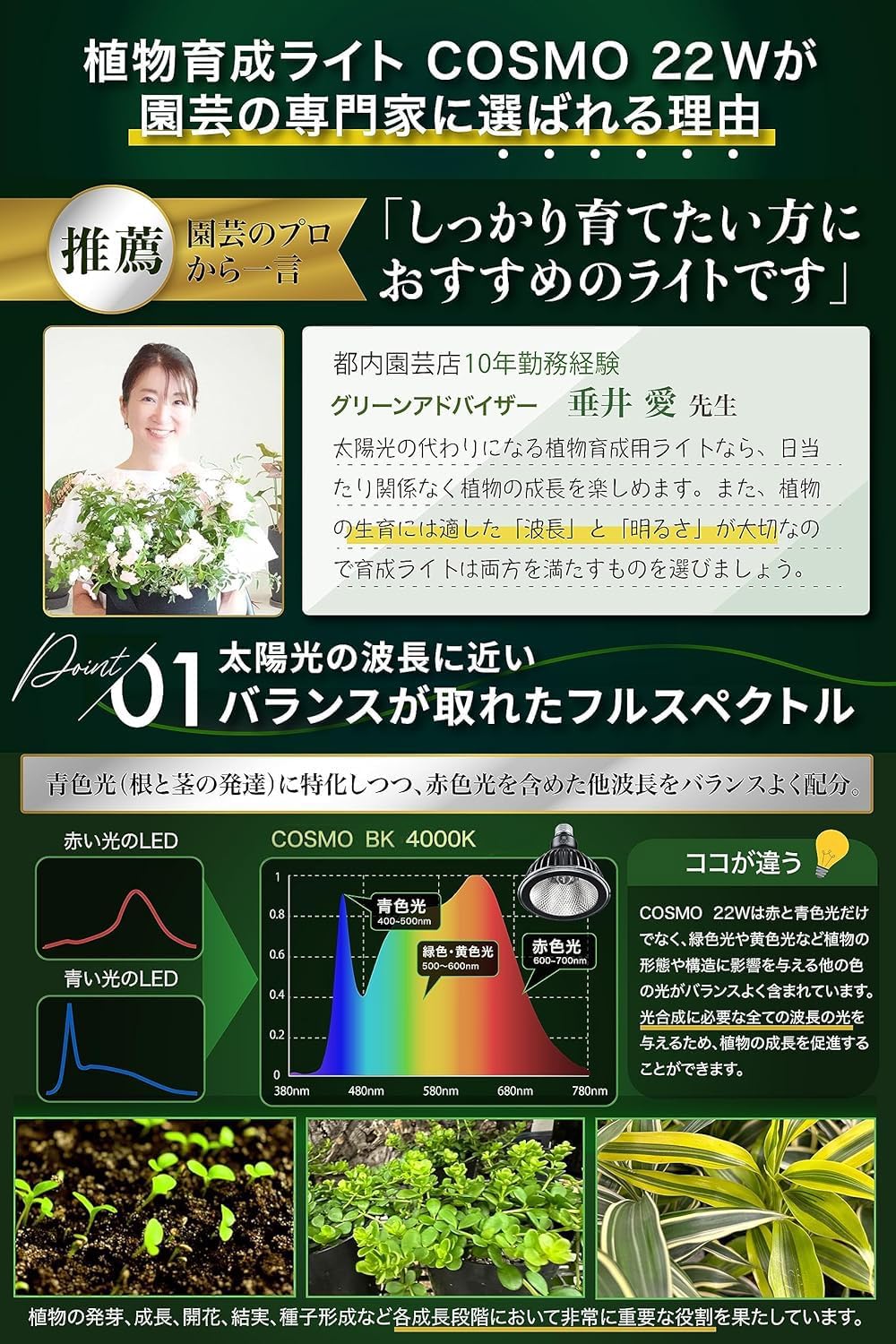 楽天市場】【マラソン期間全品Pt5倍!】BRIM(ブリム) 公式店 グリーン