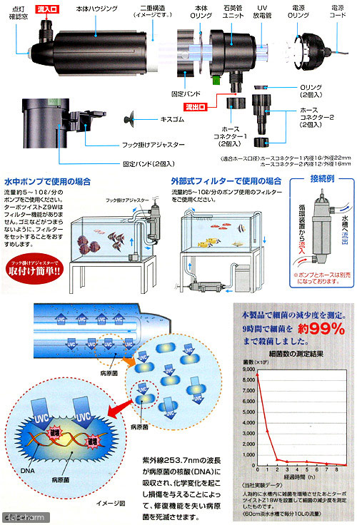 楽天市場】【2／20限定】当選確率2分の1！1等最大100