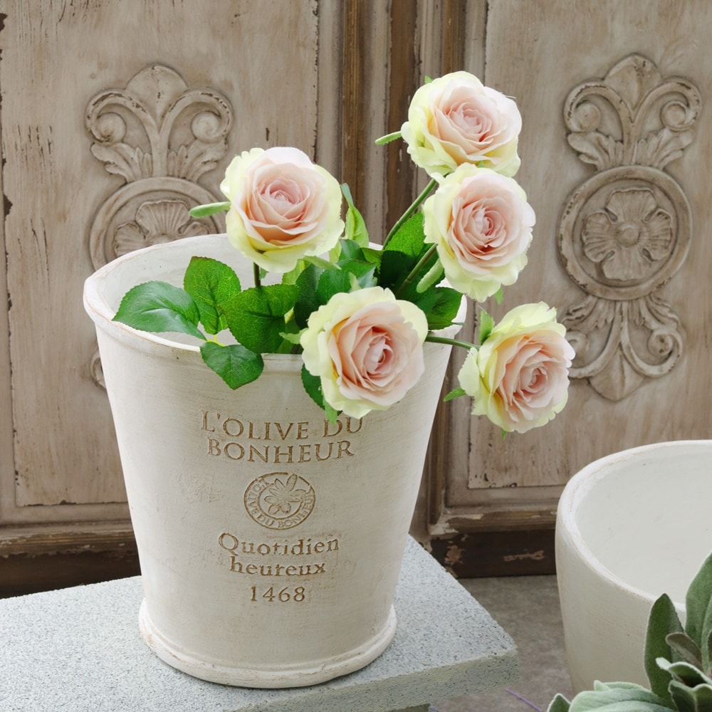 楽天市場】【送料無料】植木鉢 鉢 かわいい 可愛い フレンチスタイル