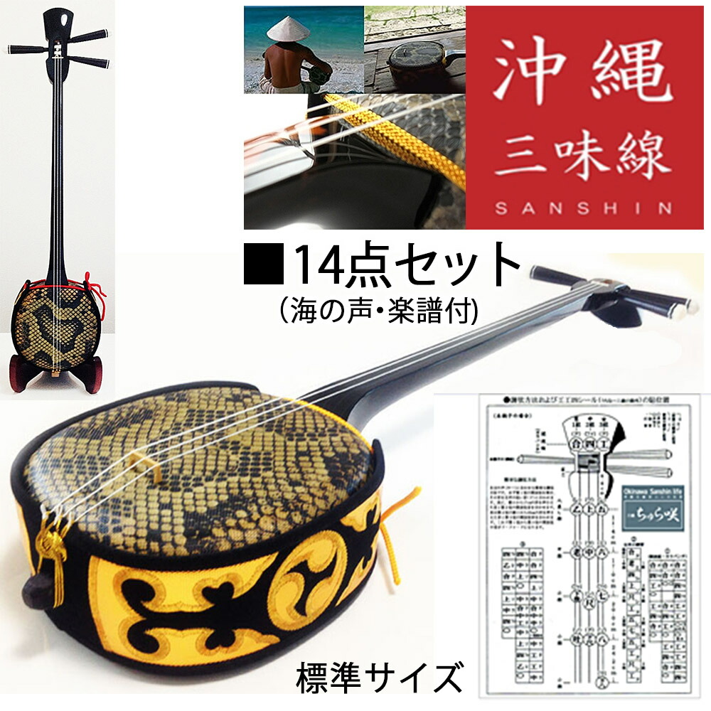 ASOVIVA アソビバ 三線セット 沖縄 消音ウマ付き カラクイ3本新品