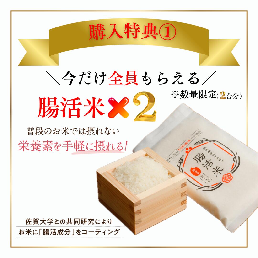 楽天市場】【エントリーでポイント20倍☆+今だけ腸活米2個贈呈