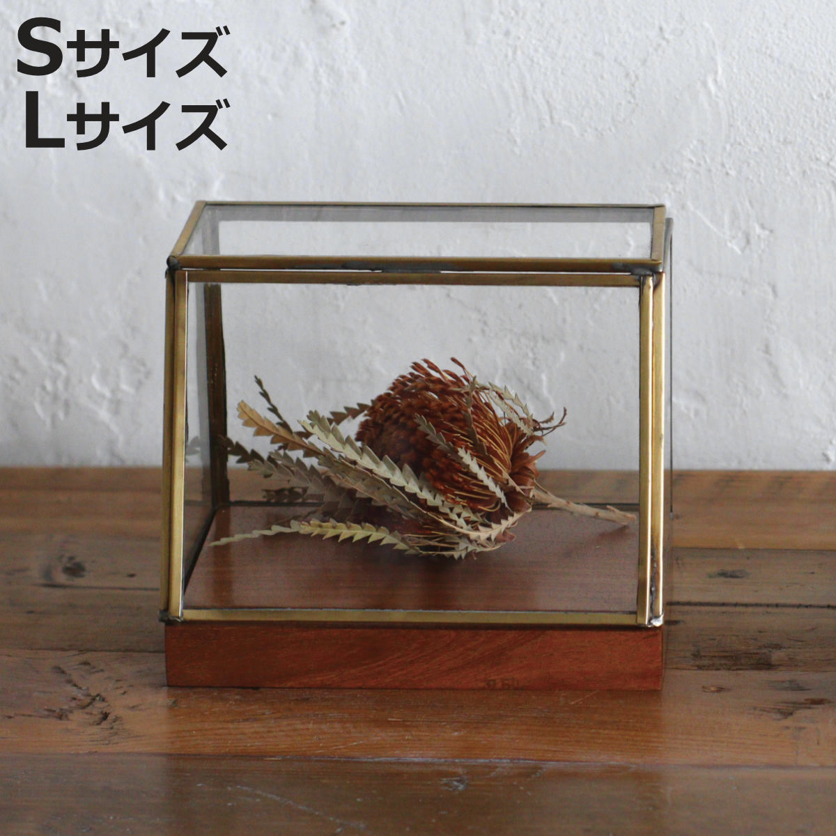 ショーケース 小物入れ」の人気商品一覧 | 安い商品を通販サイトから