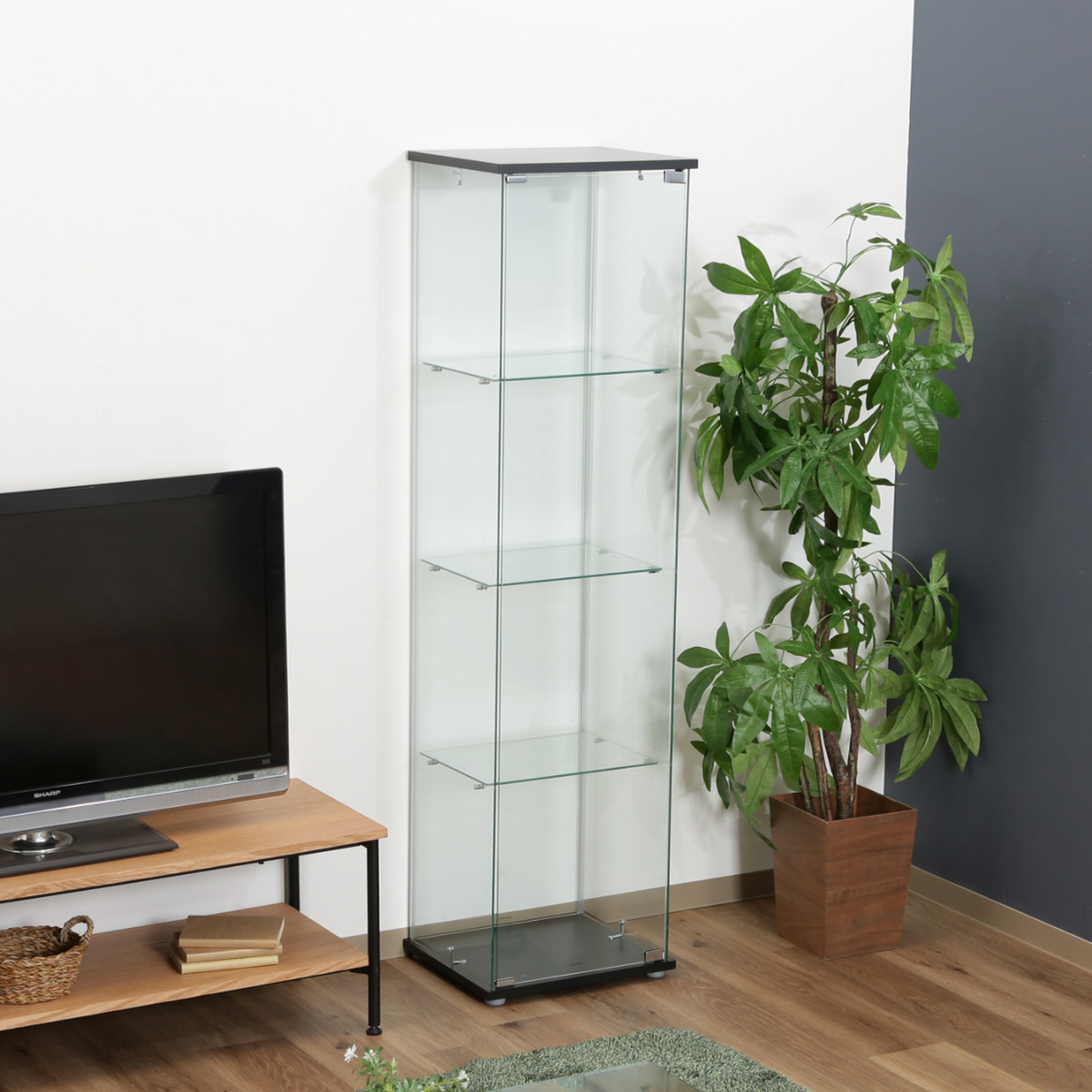 楽天市場】コレクションケース 4段 幅42.5cm 4面ガラス ショーケース