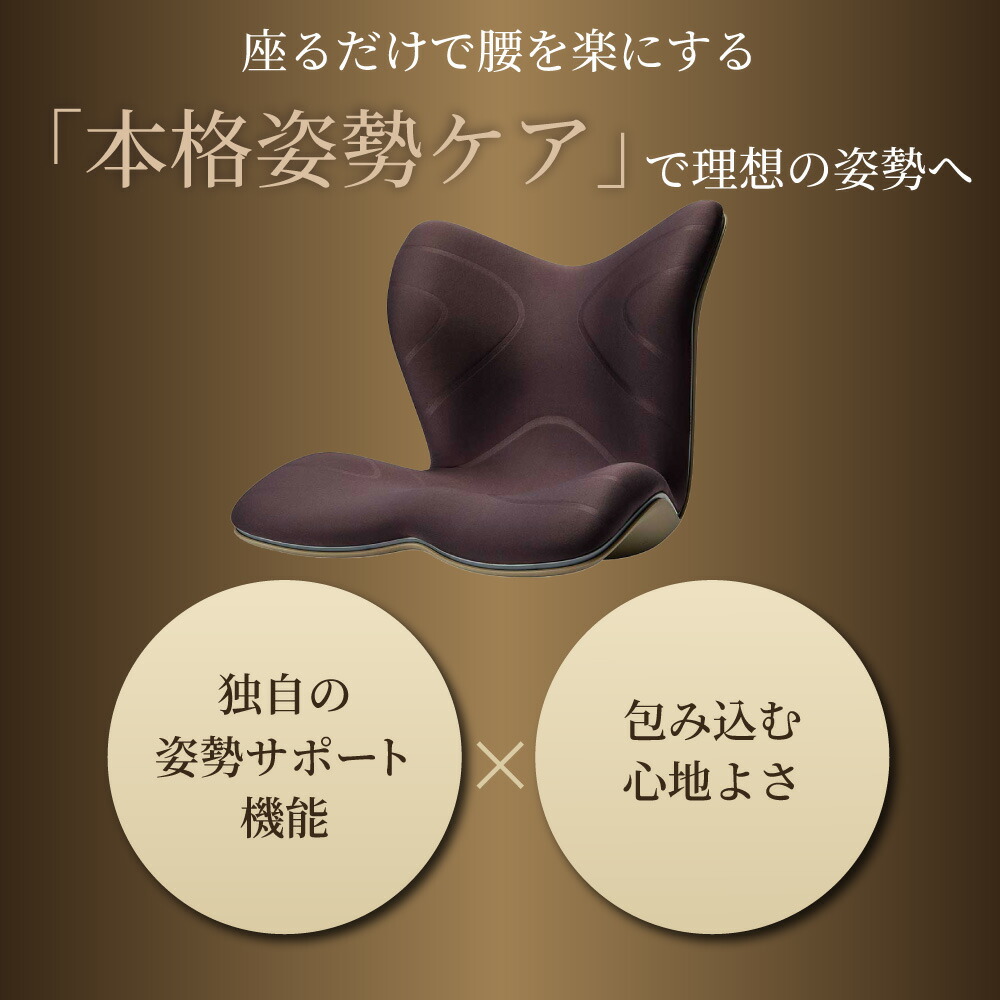 楽天市場】【選べるW特典a】姿勢サポートチェア MTG スタイル
