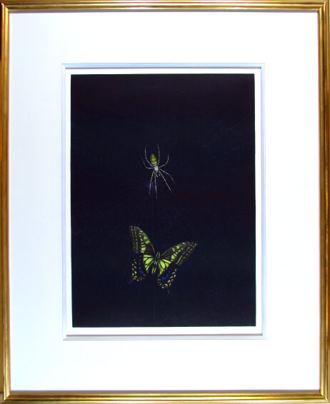 楽天市場】加山又造 銅版画 1986年 蝶 : ギャラリーダッドアート