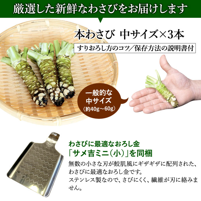 楽天市場】本わさび中サイズ3本＆さめ吉（ミニ）セット わさび 本