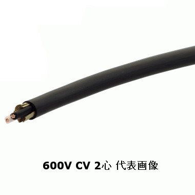 矢崎 ケーブル cv 38」の人気商品一覧 | 安い商品を通販サイトから探す
