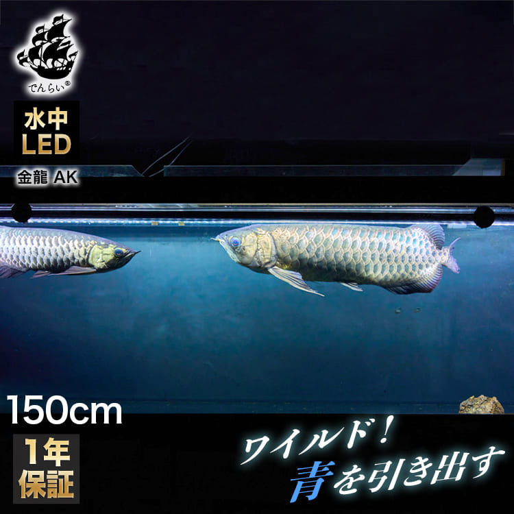 楽天市場】 水槽 アロワナライト : おしゃれな照明専門店 でんらい