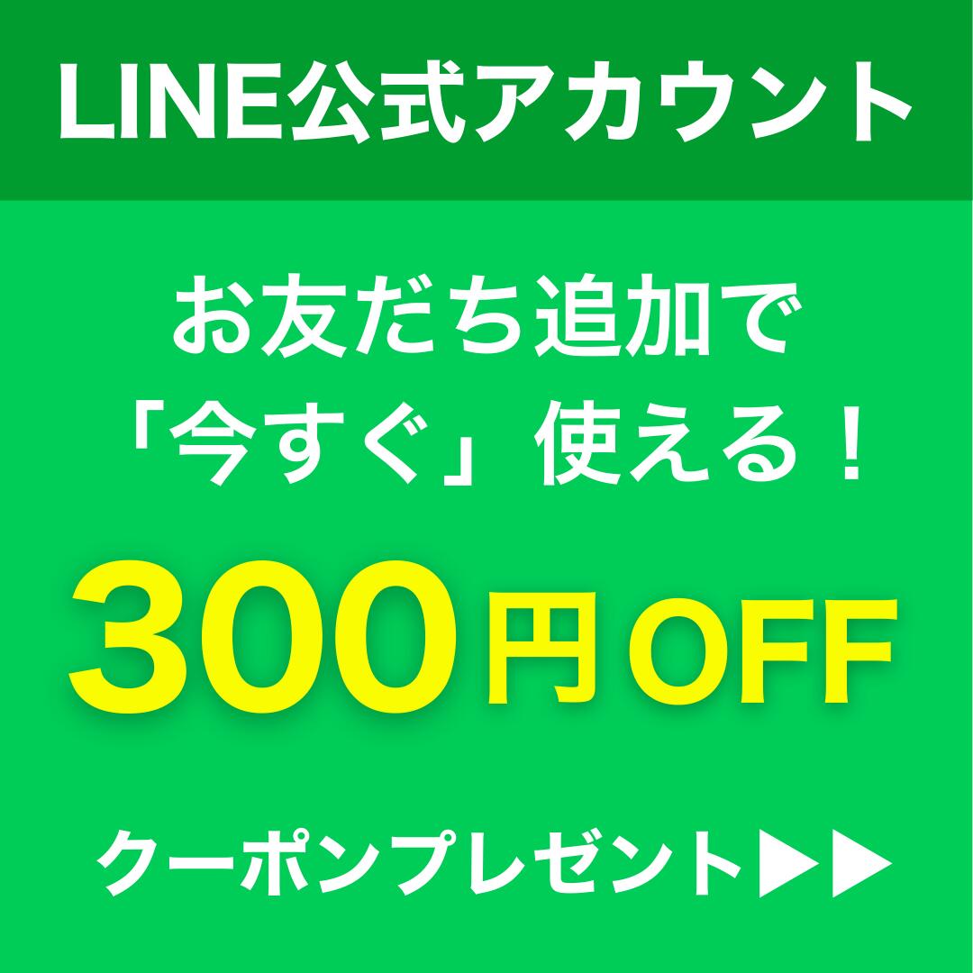楽天市場】アルファゴール 2m×1m ミニゴール アルファギア 送料込み
