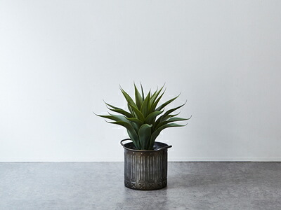 楽天市場】☆新春クリアランス30%OFFクーポン発行中！☆ 男前 円 丸型