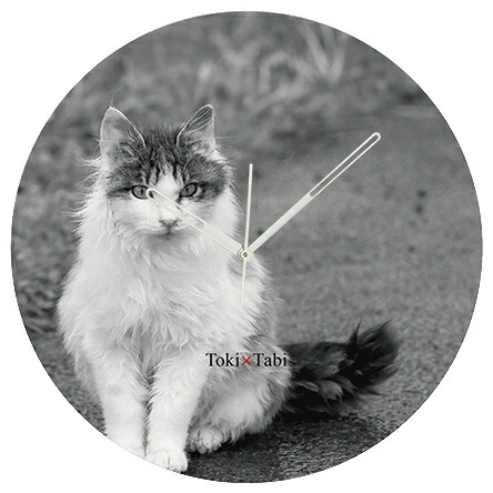 楽天市場】A+ (アクセントプラス) Toki×Tabi 大型掛け時計 60cm 猫の島