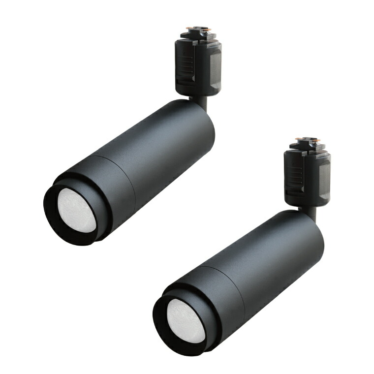 楽天市場】2個セット ダクトレール ライト エジソンスマート ミニ