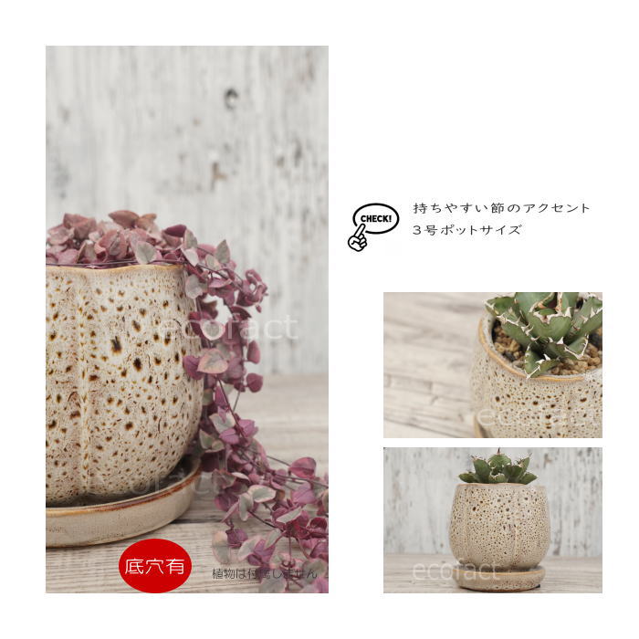 楽天市場】植木鉢 おしゃれ 陶器鉢 フラワーポット ミニポット 底穴