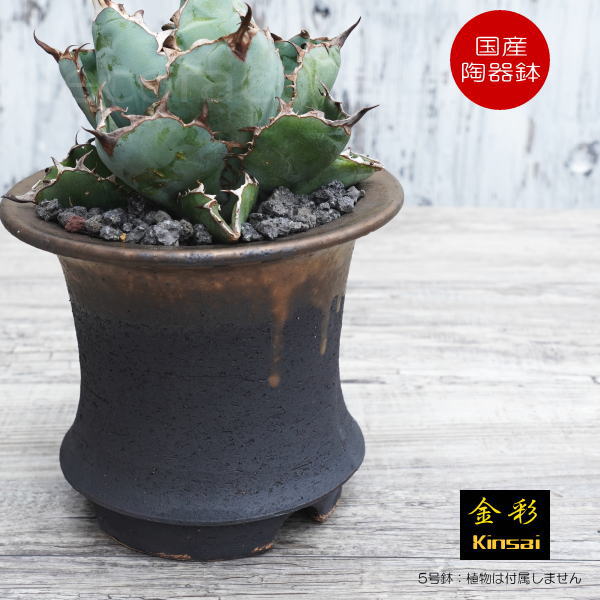 楽天市場】かっこいい 陶器鉢 植木鉢 5号 底穴あり 金彩高脚 ブラック