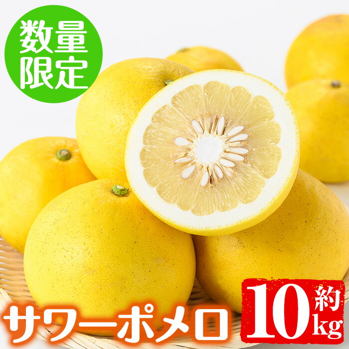 楽天市場】【ふるさと納税】＜数量限定＞サワーポメロ(約10kg)柑橘類