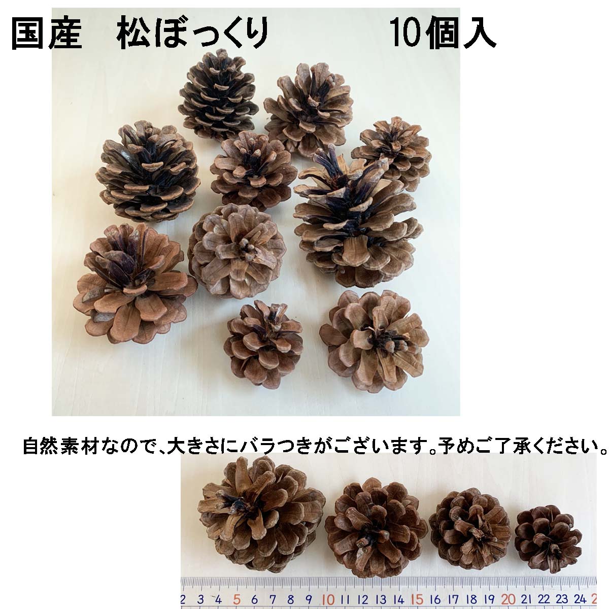 楽天市場】松ぼっくり 松かさ アソート 3〜6cm（10個入） クリスマス