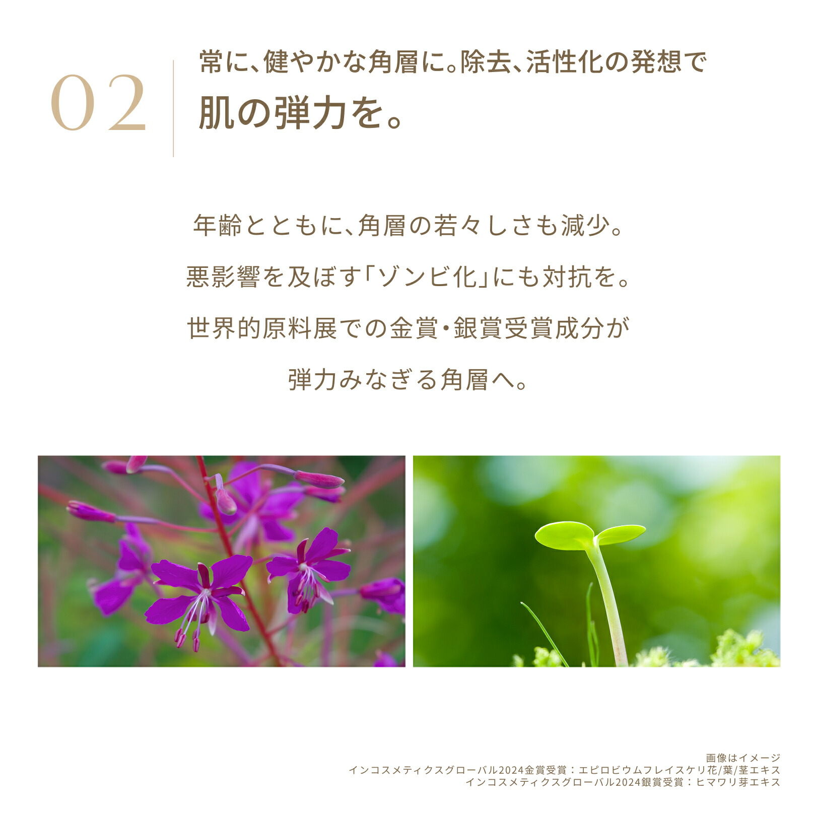 楽天市場】リニューアレイジ アンロックセラム 引き締め 美容液 ハリ