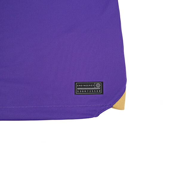 楽天市場】【スピード出荷】ナイキ 2024 サンフレッチェ広島 #18 柏