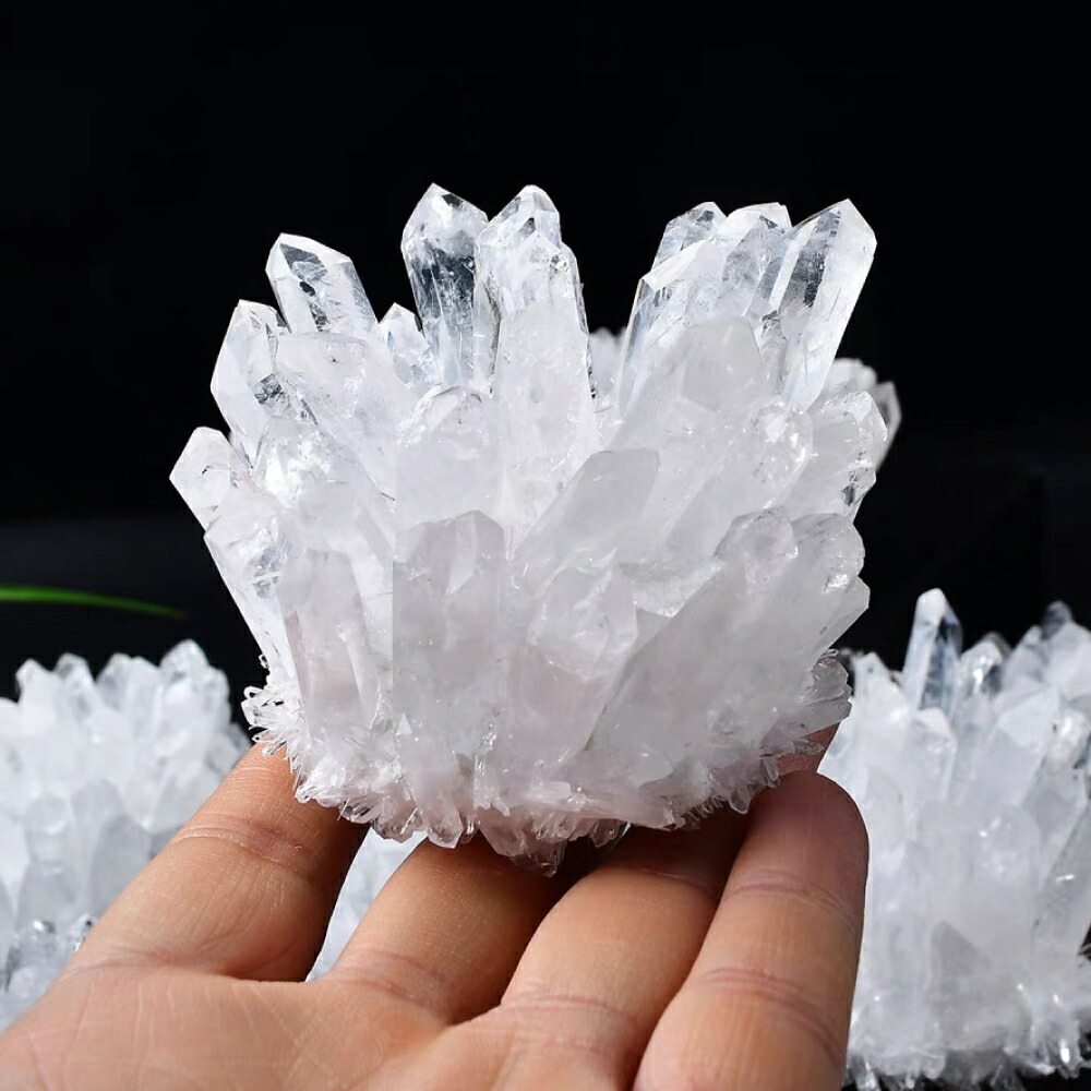 楽天市場】＼まもなく終了！最大20%OFF！／ 【再入荷・早い者勝ち