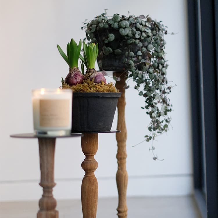 楽天市場】観葉植物 スタンド フラワースタンド 室内 プランター