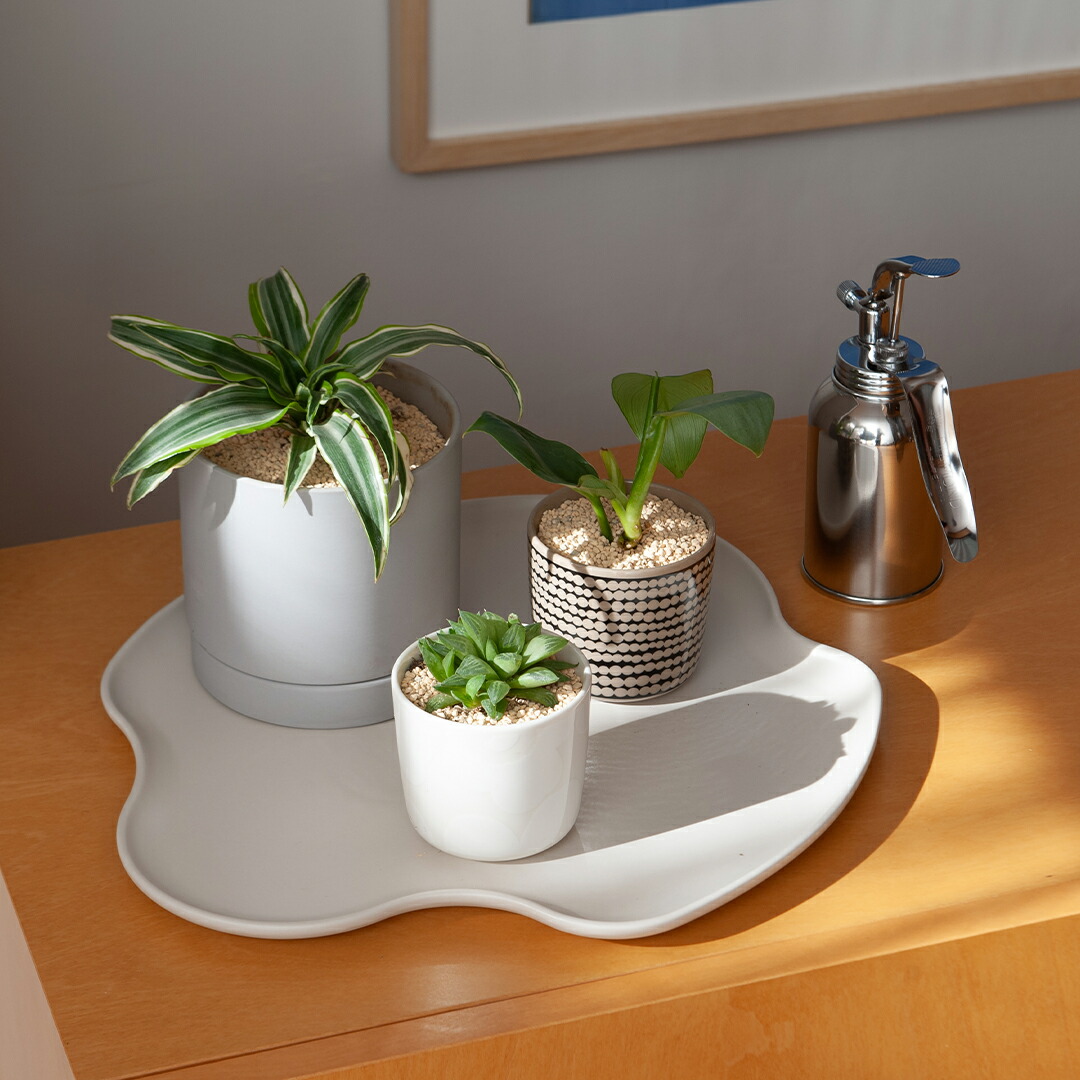 楽天市場】アルヴァ・アアルト コレクション プラター（イッタラ