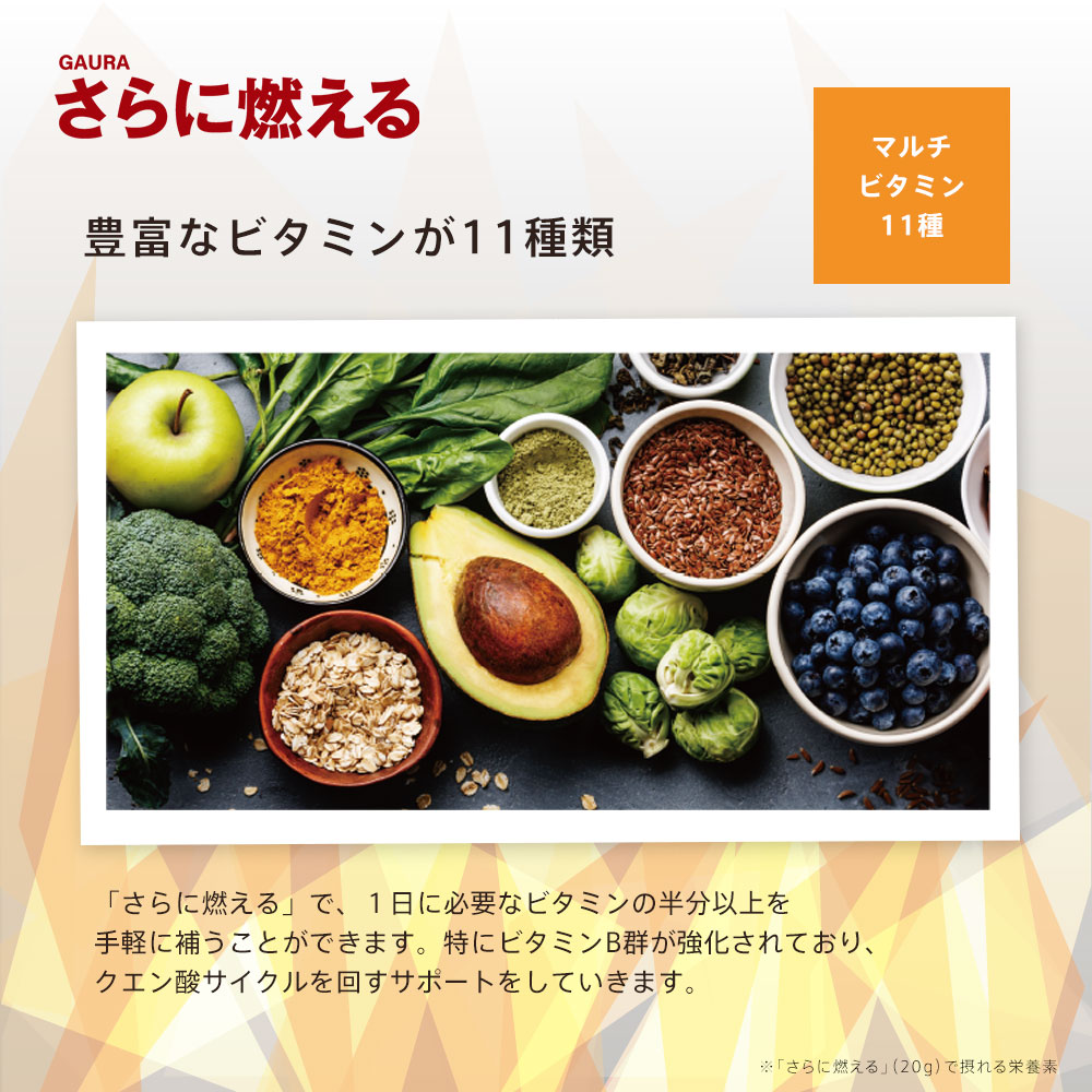 楽天市場】［送料無料］［高評価］［ガウラ公式］GAURA さらに燃える