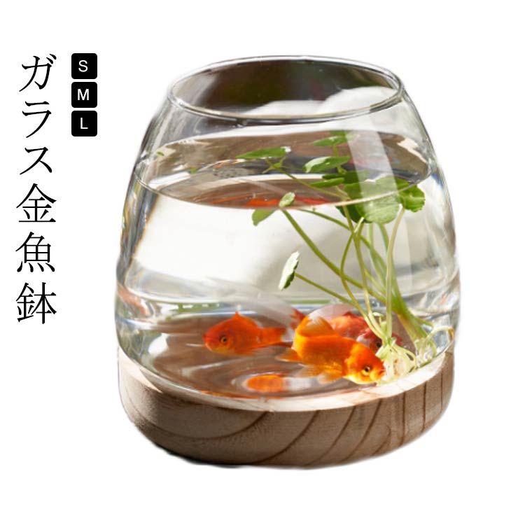 楽天市場】 金魚鉢 S 小さな水槽 メダカ ガラス金魚鉢 室内 小さな丸い