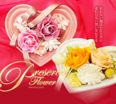 プリザーブドフラワー 母の日 フレーム」の人気商品一覧 | 安い商品を