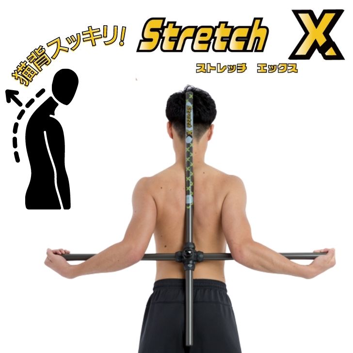 楽天市場】Teeter Hang Ups ティーター・ハングアップ 逆さぶら下がり