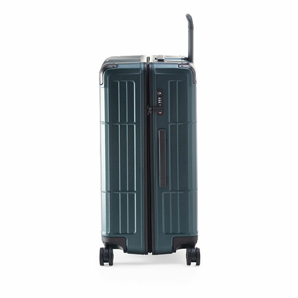 楽天市場】＼店内クーポン大量配布中／ 【10年保証】アジアラゲージ