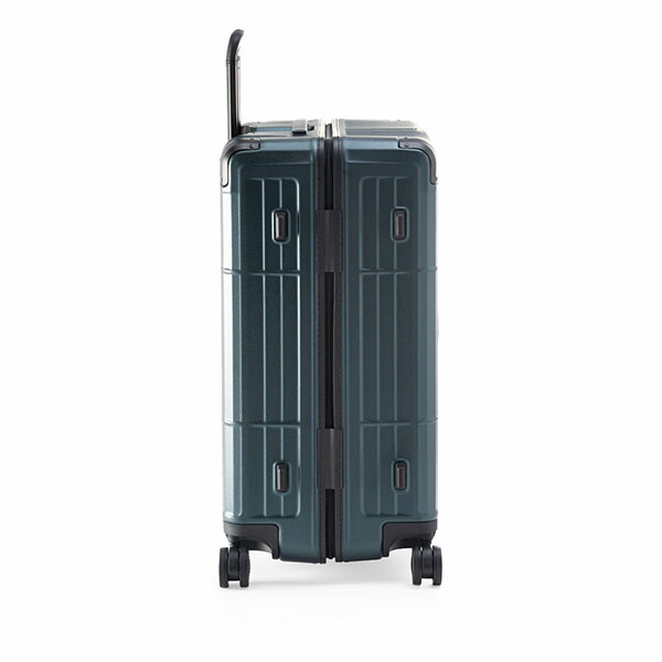 楽天市場】＼店内クーポン大量配布中／ 【10年保証】アジアラゲージ