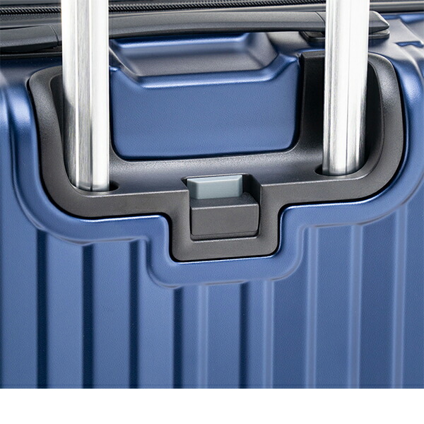 楽天市場】＼店内クーポン大量配布中／ 【10年保証】アジアラゲージ