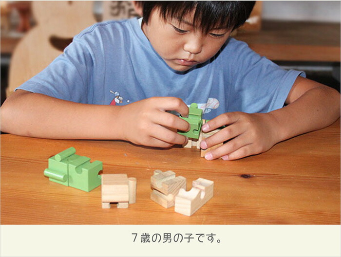 楽天市場】【SALEクーポンあり】【送料無料】○モンキーパズル 8ピース