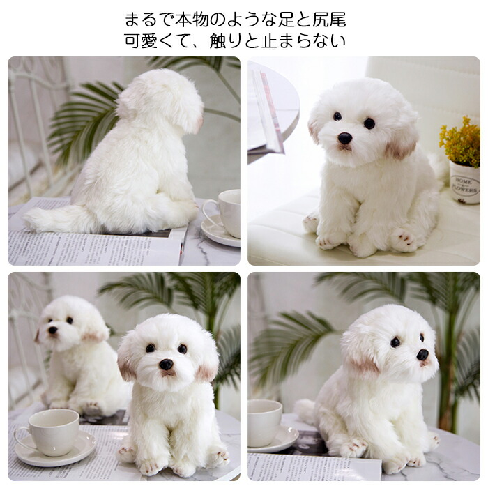 楽天市場】ぬいぐるみ ぬいぐるみシ ミュレーション マルチーズ 犬