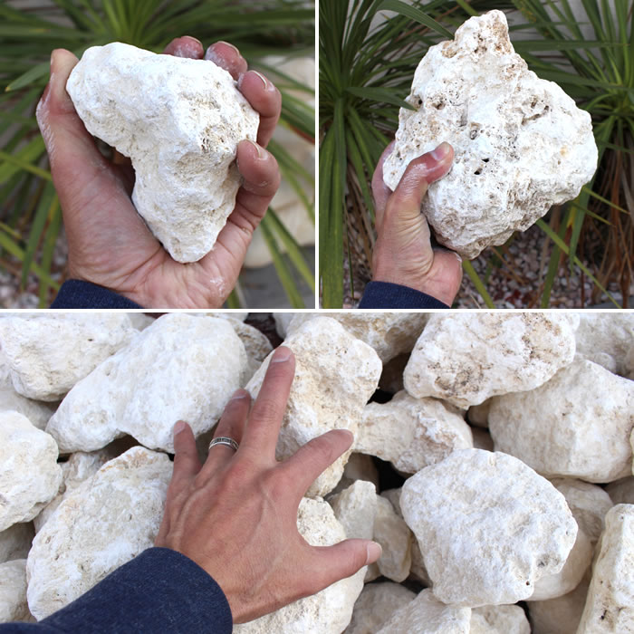 楽天市場】ガーデンストーン コーラル（琉球石灰岩）白い石 ホワイト