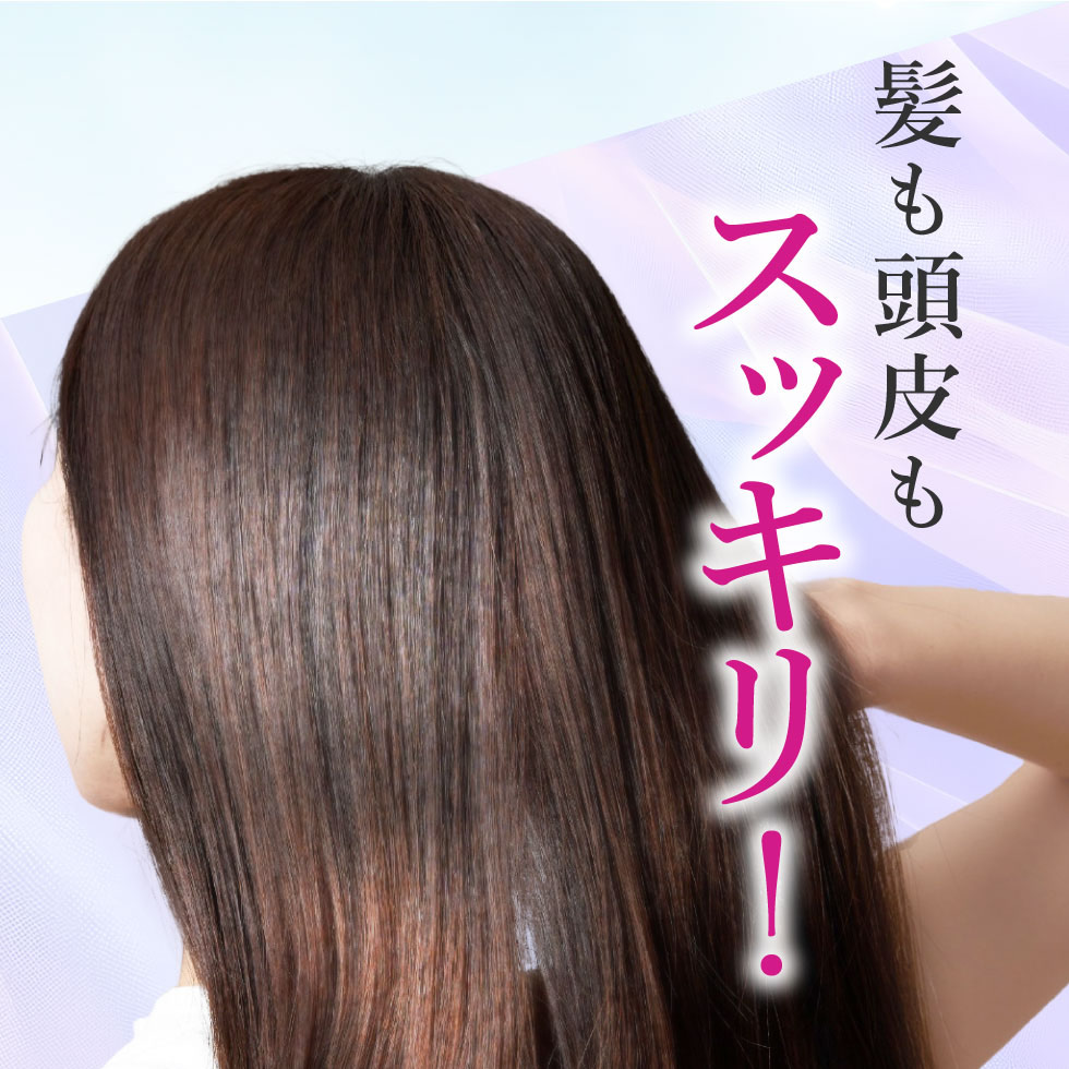 楽天市場】【クーポンで1点あたり1,602円〜】【公式】【2個セット